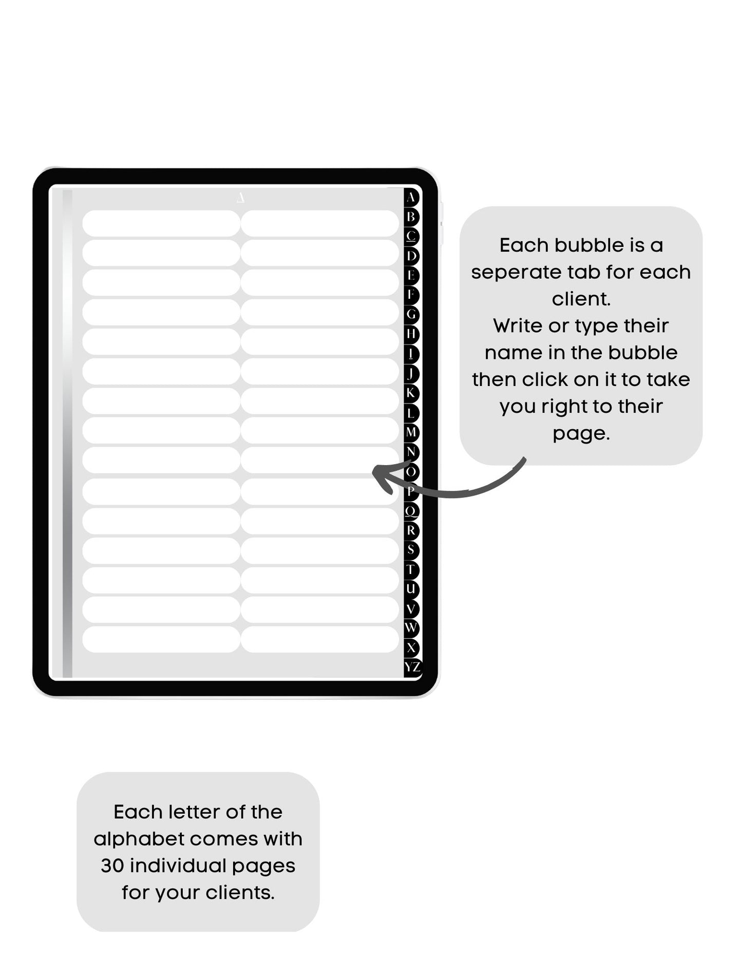 Digital Lash Client Record Book